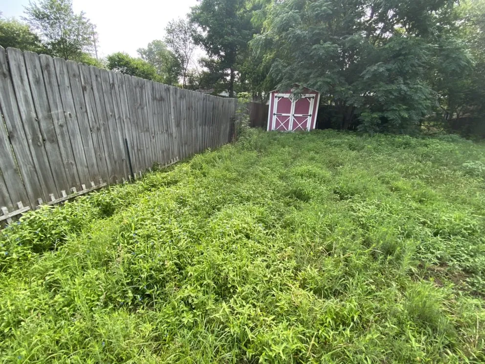 Affordable lawn care service in Longview, TX by Garcia Lawn Care Service