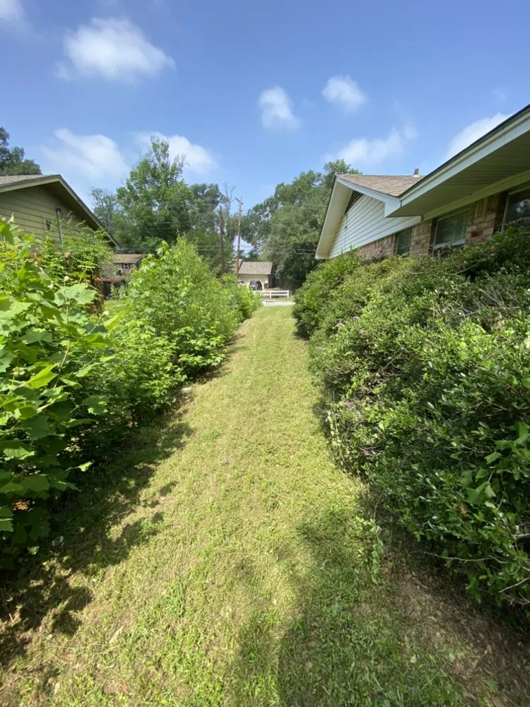 Reliable lawn care service in Longview, TX - Garcia Lawn Care Service