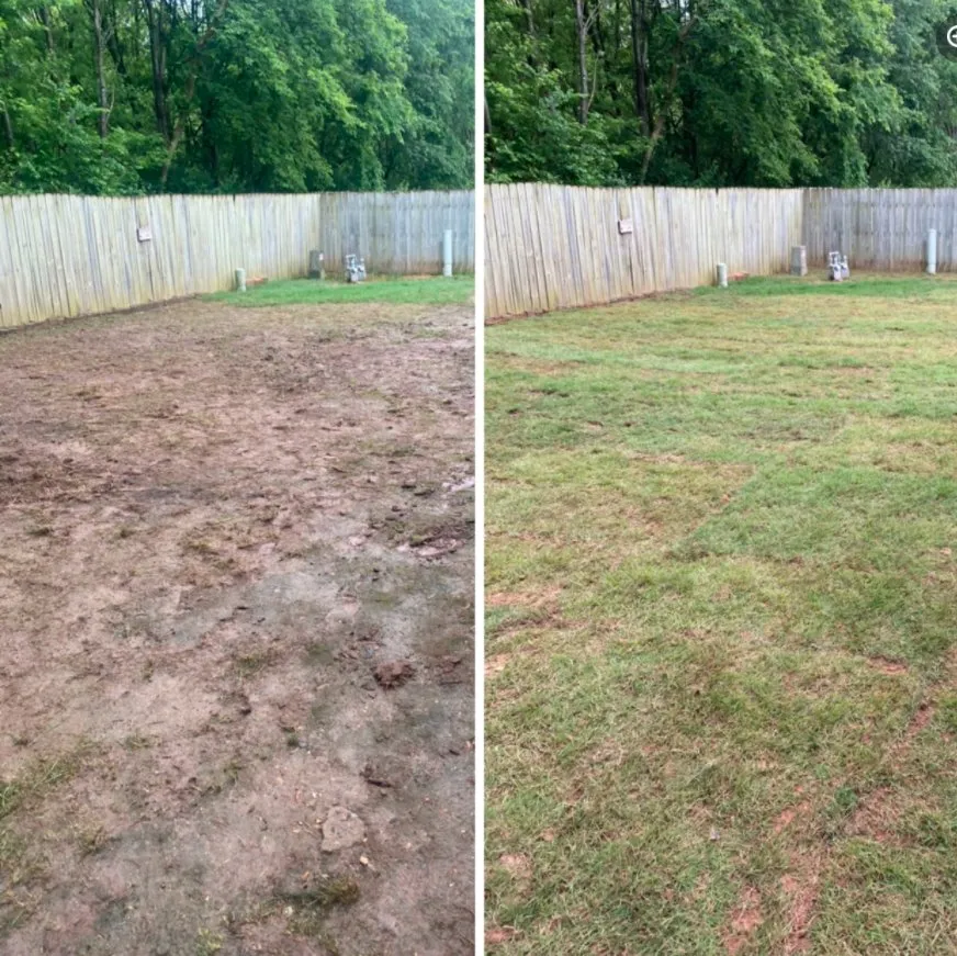 Top-rated outdoor landscaping in Springdale, AR by Garcia Lawn Care Solutions