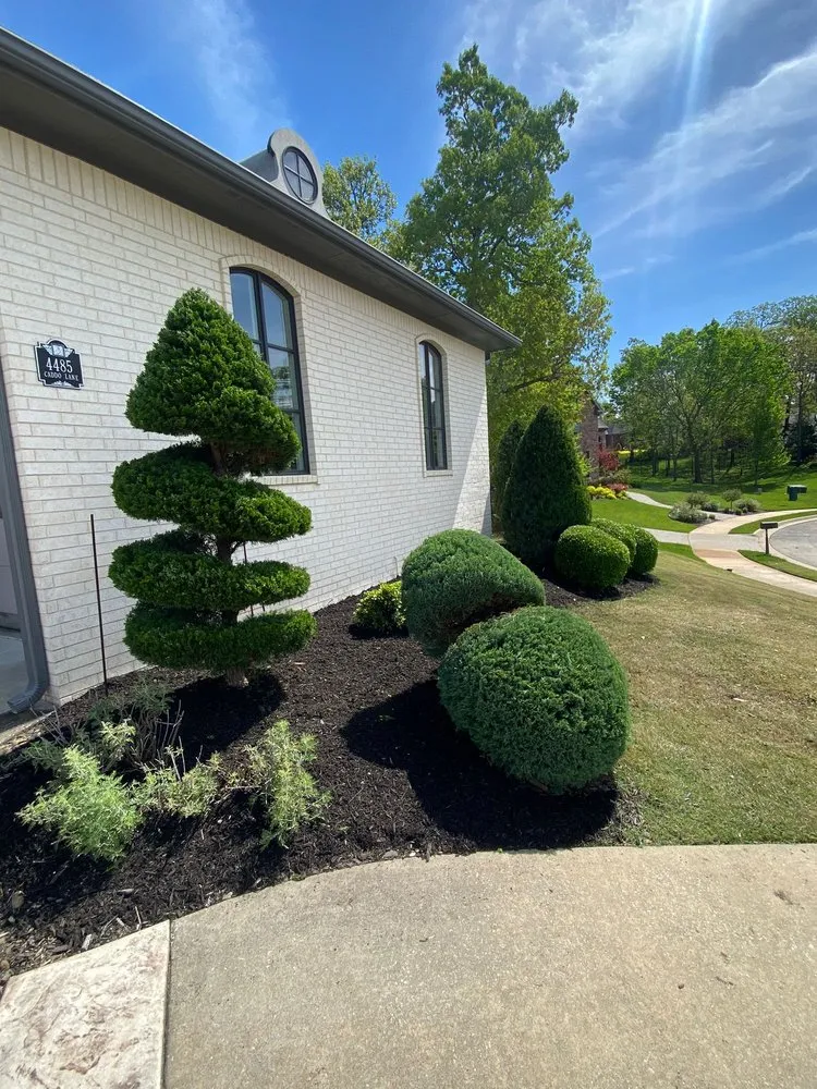 Trusted landscape design for beautiful yards across Springdale, AR - Garcia Lawn Care Solutions