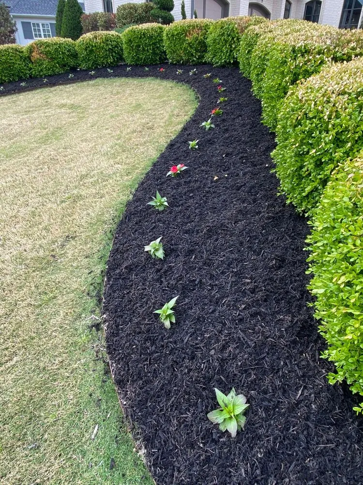 Reliable yard cleanup service in Springdale, AR - Garcia Lawn Care Solutions