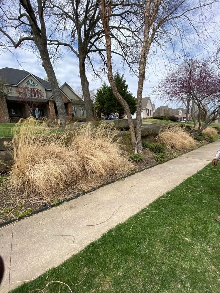 Affordable yard cleanup service in Springdale, AR - Garcia Lawn Care Solutions