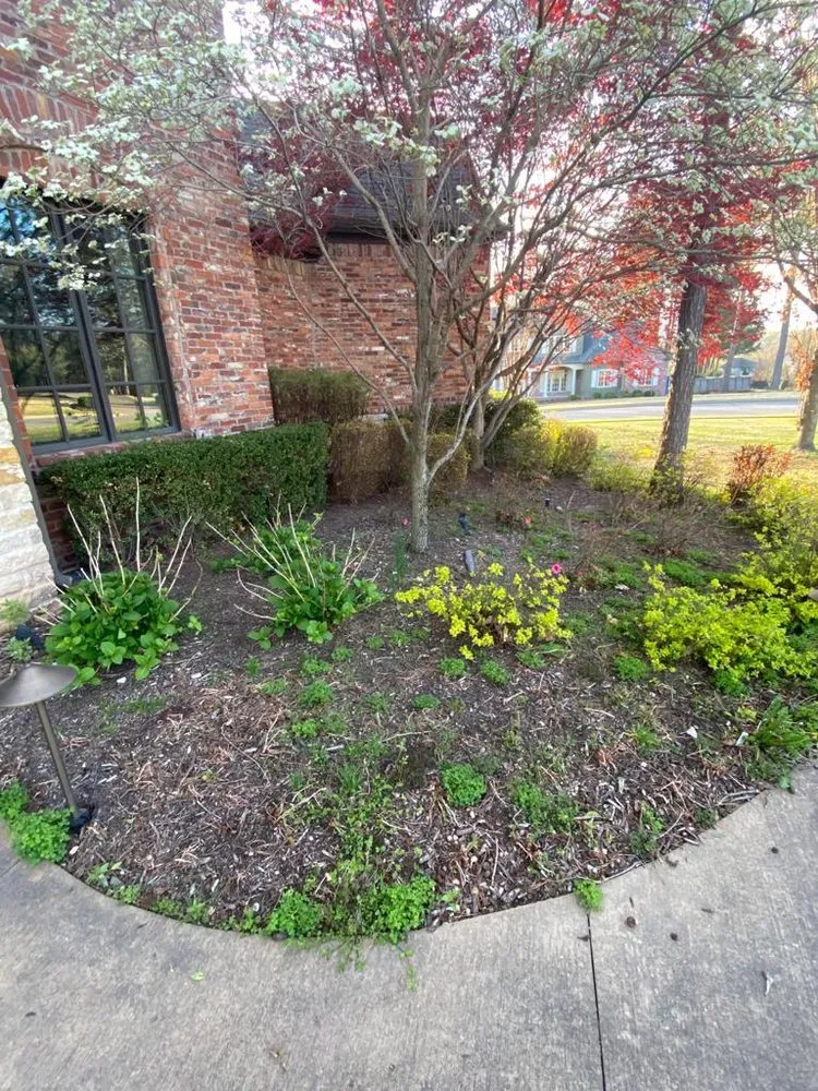 Local lawn care service with custom design across Springdale, AR - Garcia Lawn Care Solutions