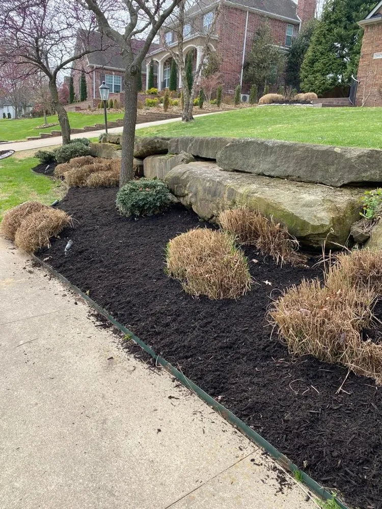 Reliable yard cleanup service experts serving Springdale, AR - Garcia Lawn Care Solutions