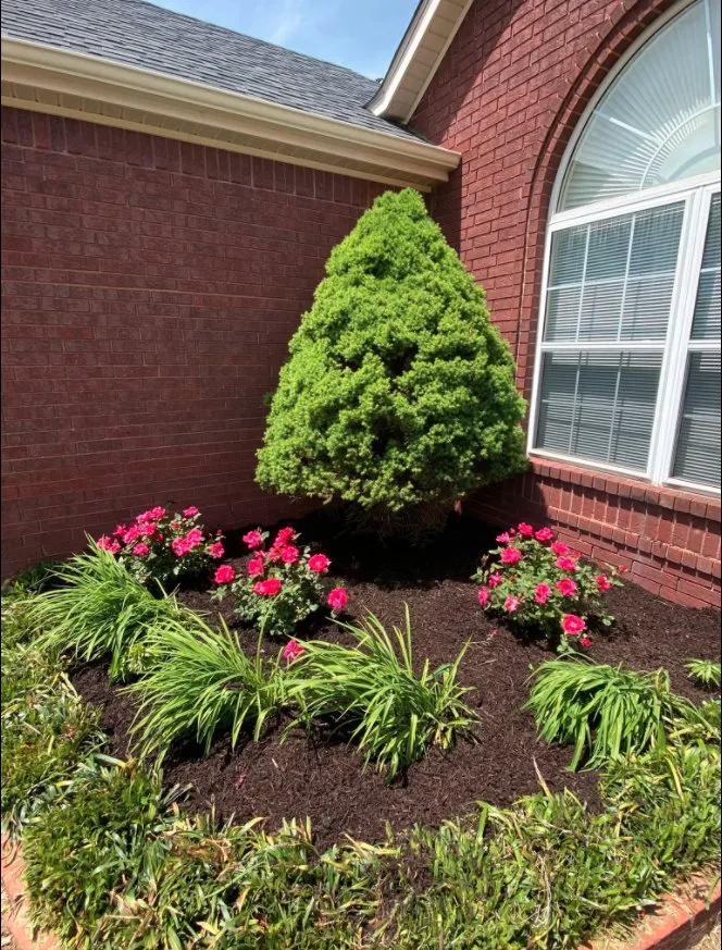 Top-rated outdoor landscaping for homes in Springdale, AR by Garcia Lawn Care Solutions