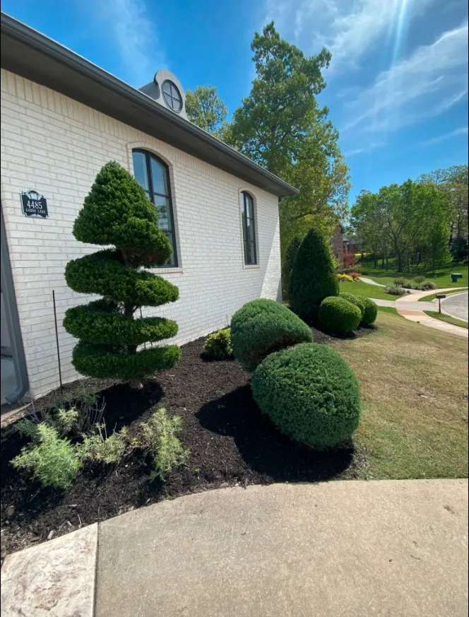 Trusted landscape design for outdoor upgrades across Springdale, AR - Garcia Lawn Care Solutions