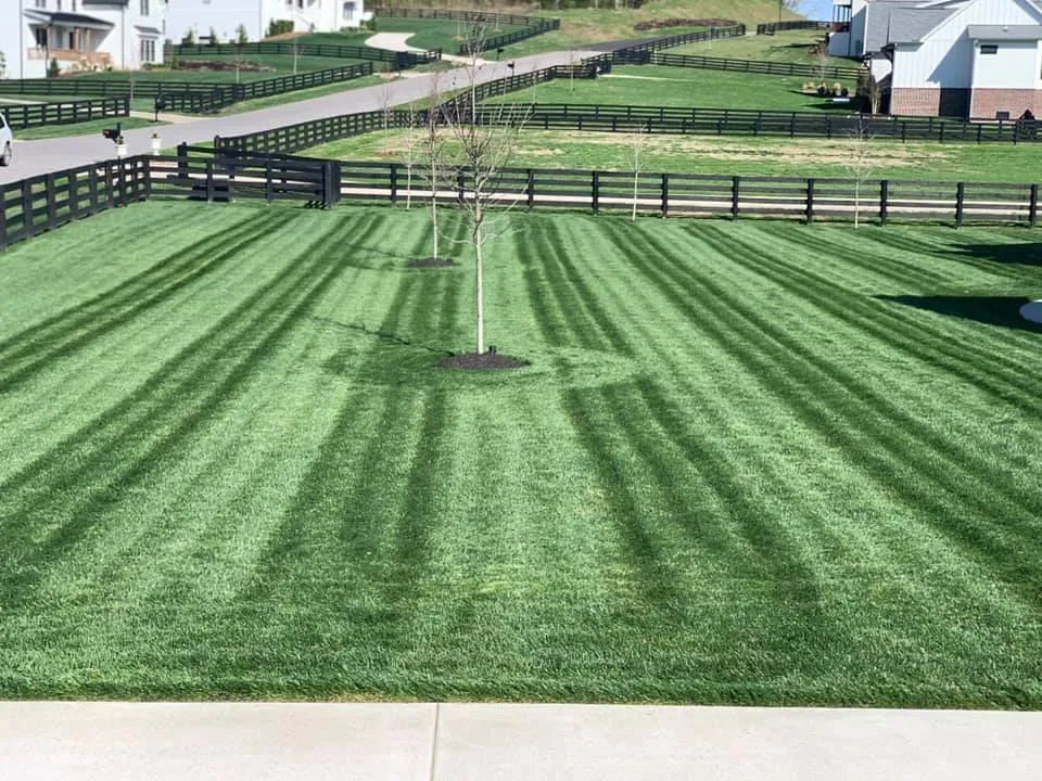 Affordable landscaping services in Brentwood, TN by Garcia Lawn Service & Landscaping