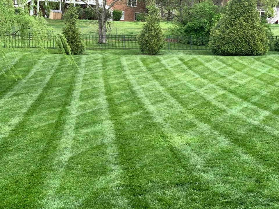 Trusted lawn care service for outdoor upgrades in Brentwood, TN by Garcia Lawn Service & Landscaping