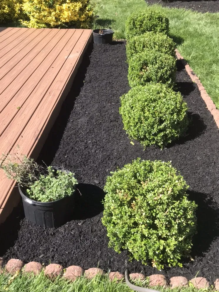 Trusted yard cleanup service for residential properties across Ambler, PA - Garcia Pro Services