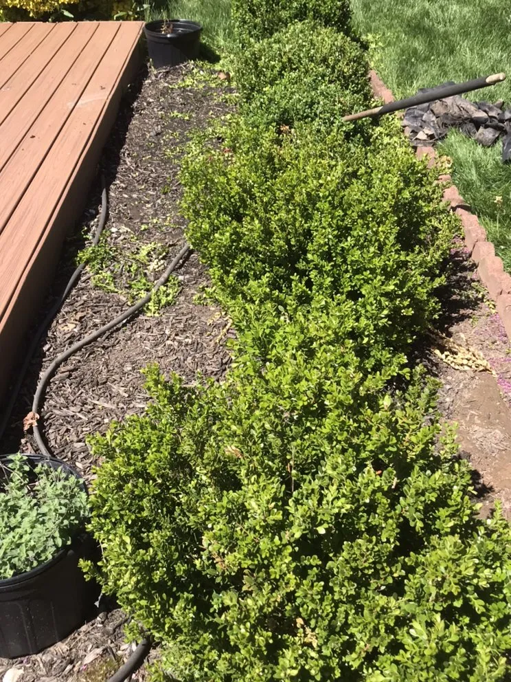 Affordable garden landscaping in Ambler, PA - Garcia Pro Services