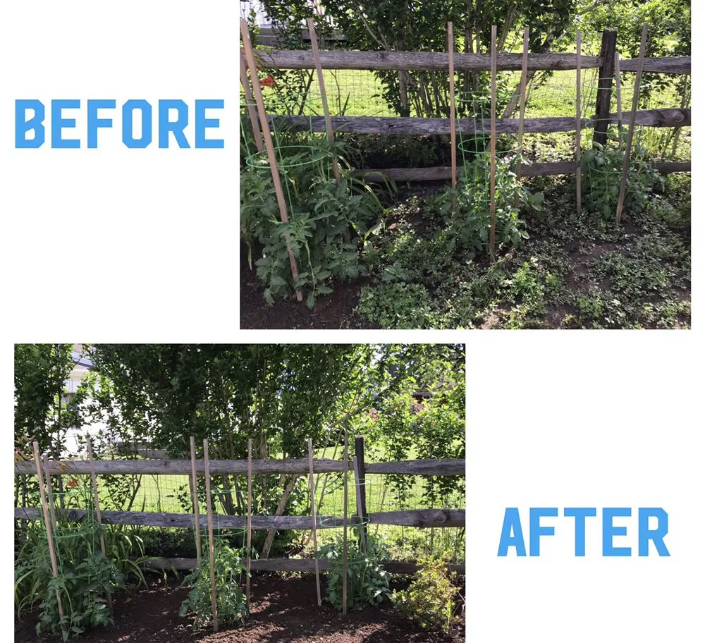 Custom outdoor landscaping with custom design across Ambler, PA - Garcia Pro Services