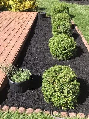 Garcia Pro Services Logo