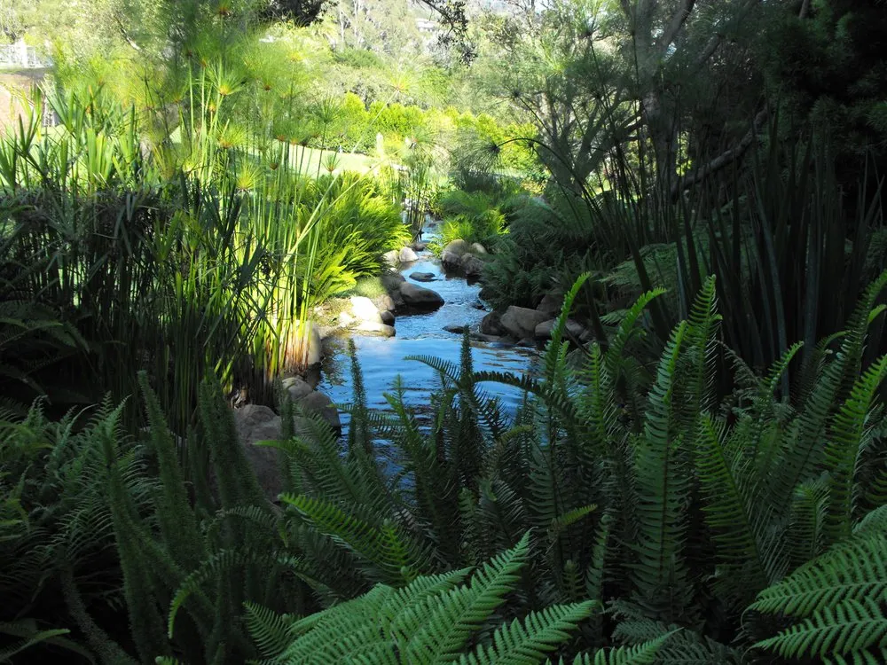 Local yard maintenance experts serving Goleta, CA - Garcia Rock & Water Design