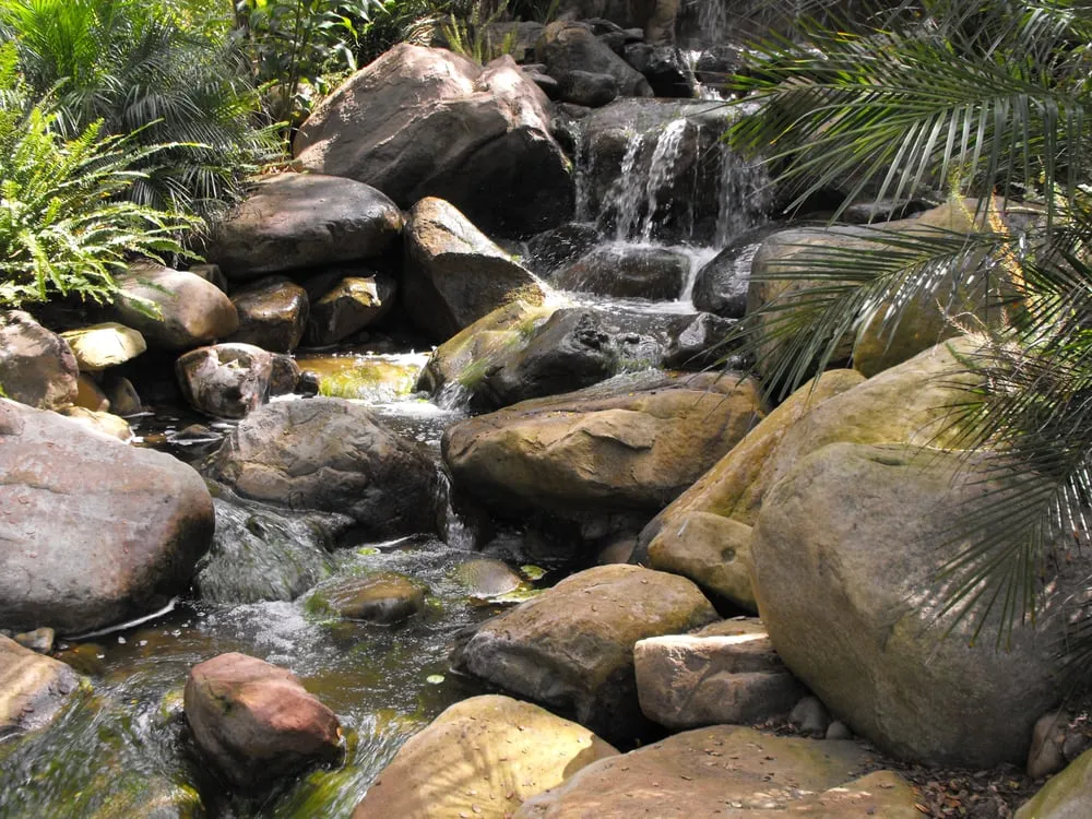 Trusted yard cleanup service for year-round maintenance in Goleta, CA by Garcia Rock & Water Design