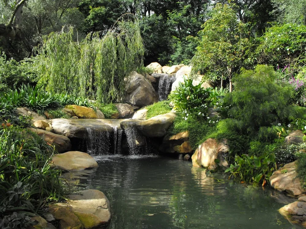 Professional residential landscaping in Goleta, CA - Garcia Rock & Water Design