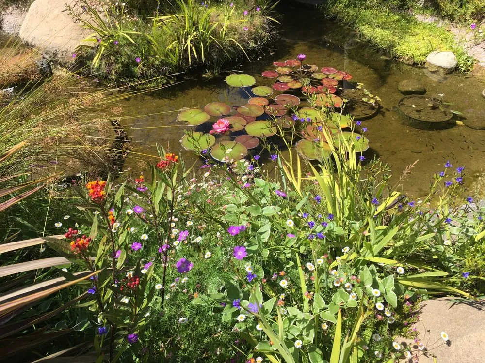 Professional landscaping services in Goleta, CA - Garcia Rock & Water Design