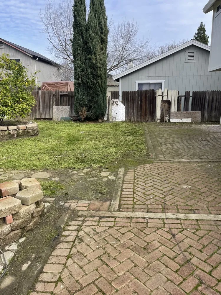 Professional yard cleanup service for year-round maintenance in Carmichael, CA by Garcia Service