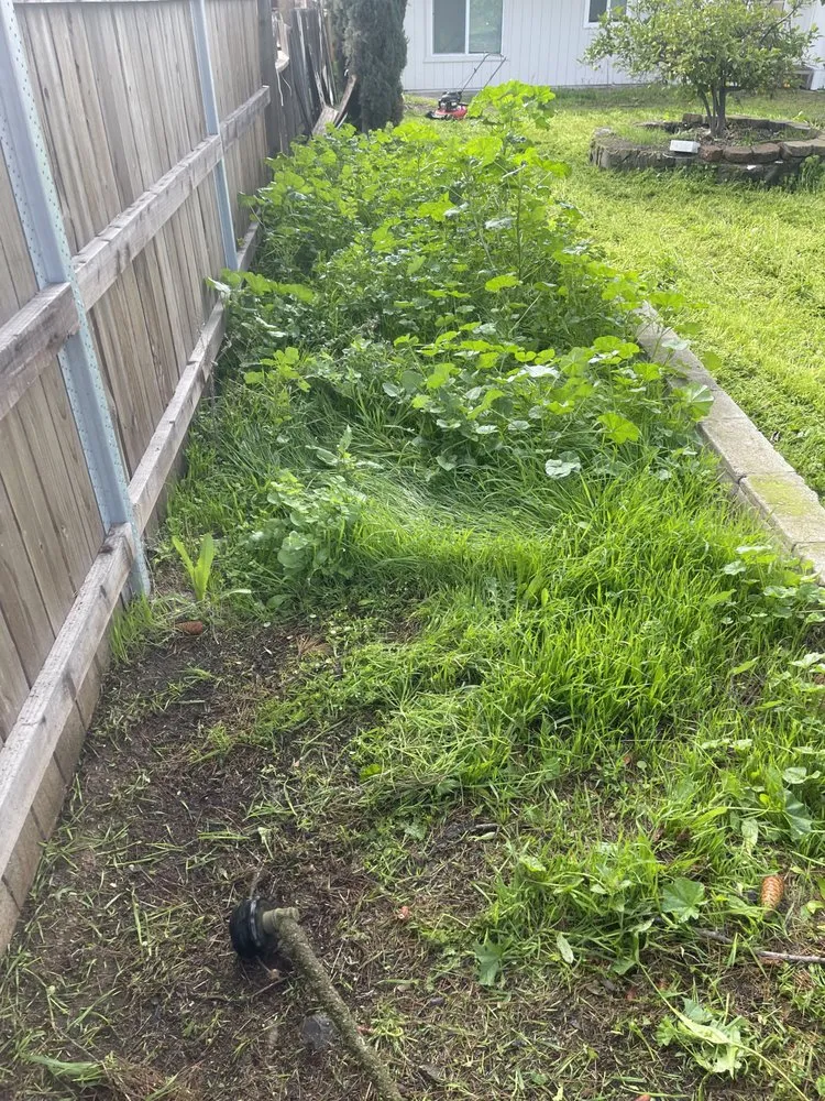 Reliable garden landscaping in Carmichael, CA - Garcia Service