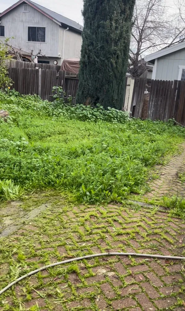 Affordable garden landscaping experts serving Carmichael, CA - Garcia Service