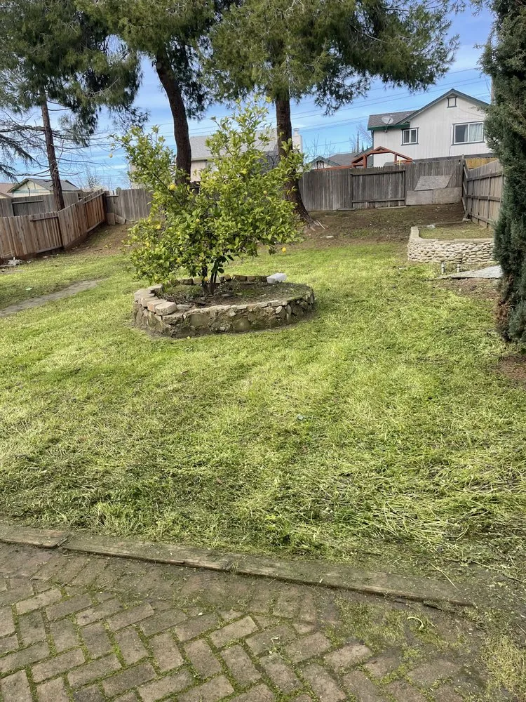 Expert yard cleanup service for residential properties across Carmichael, CA - Garcia Service