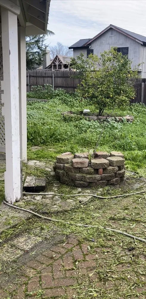 Affordable lawn care service in Carmichael, CA - Garcia Service