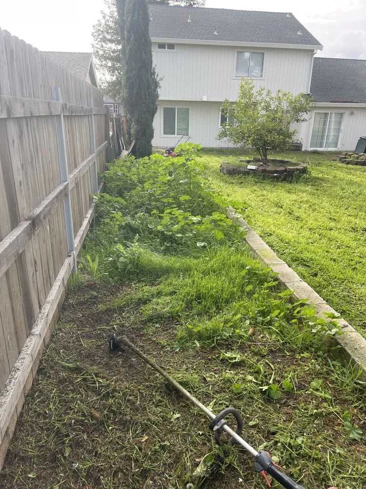 Custom landscape installation in Carmichael, CA by Garcia Service