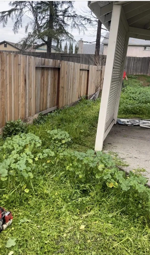 Top-rated yard maintenance with custom design in Carmichael, CA by Garcia Service