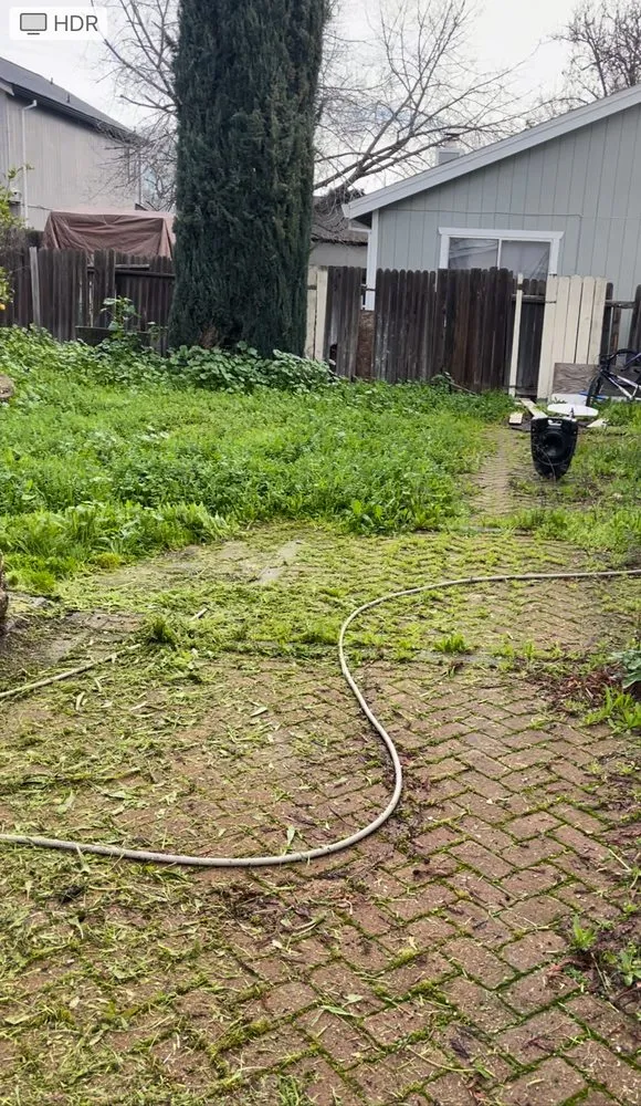 Professional garden landscaping for year-round maintenance across Carmichael, CA - Garcia Service