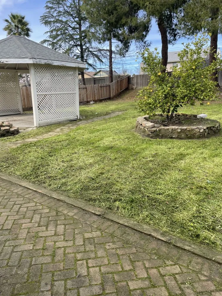 Affordable outdoor landscaping experts serving Carmichael, CA - Garcia Service