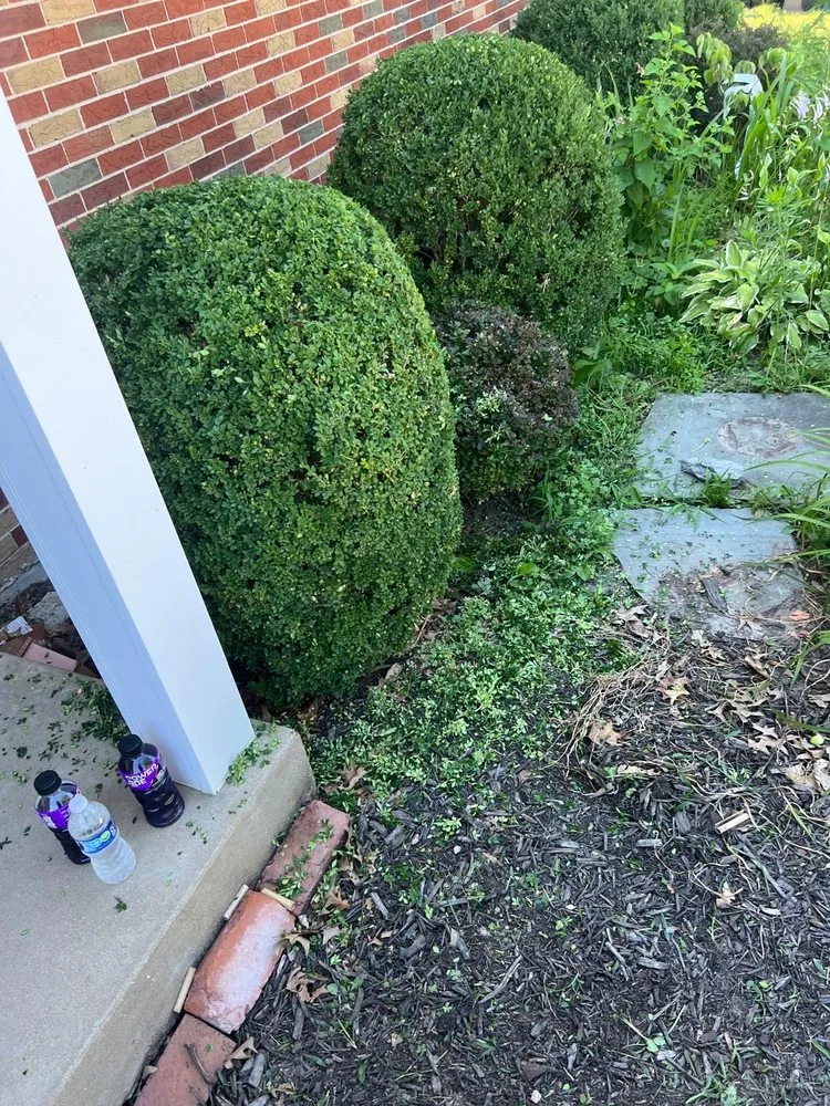 Expert residential landscaping for residential properties across Berkeley, MO - Garcia Services