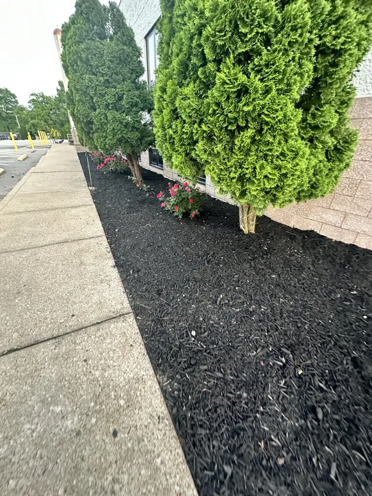 Professional garden landscaping for beautiful yards across Berkeley, MO - Garcia Services