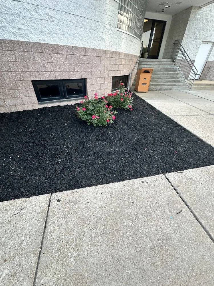 Local landscape design in Berkeley, MO by Garcia Services