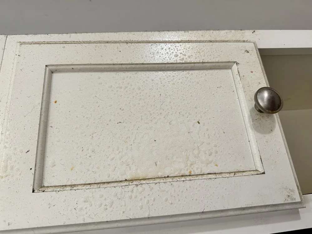 Expert yard cleanup service for homes in Berkeley, MO by Garcia Services