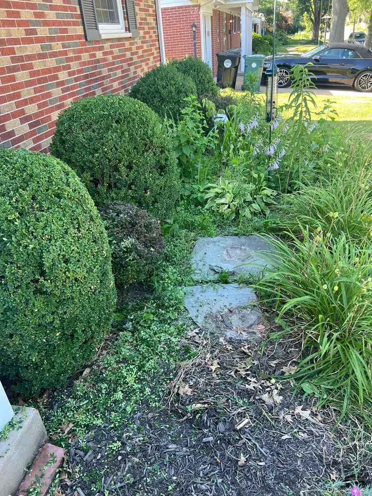 Local yard maintenance with custom design across Berkeley, MO - Garcia Services