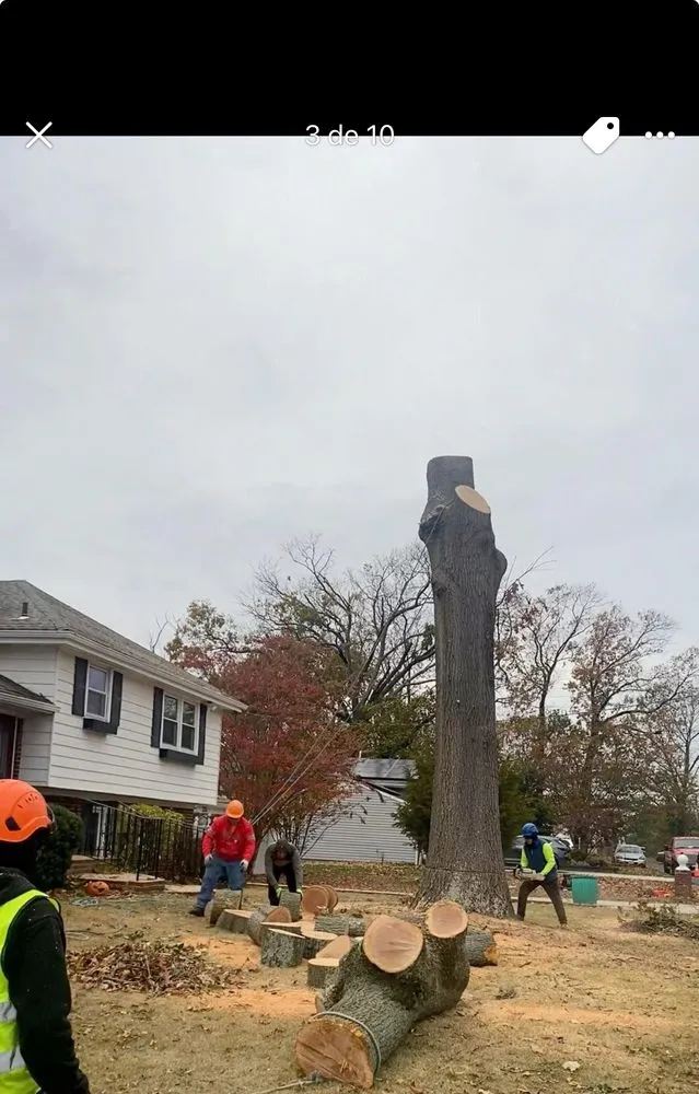 Trusted lawn care service near you in Riverside, NJ by Garcia Tree Service & Landscaping