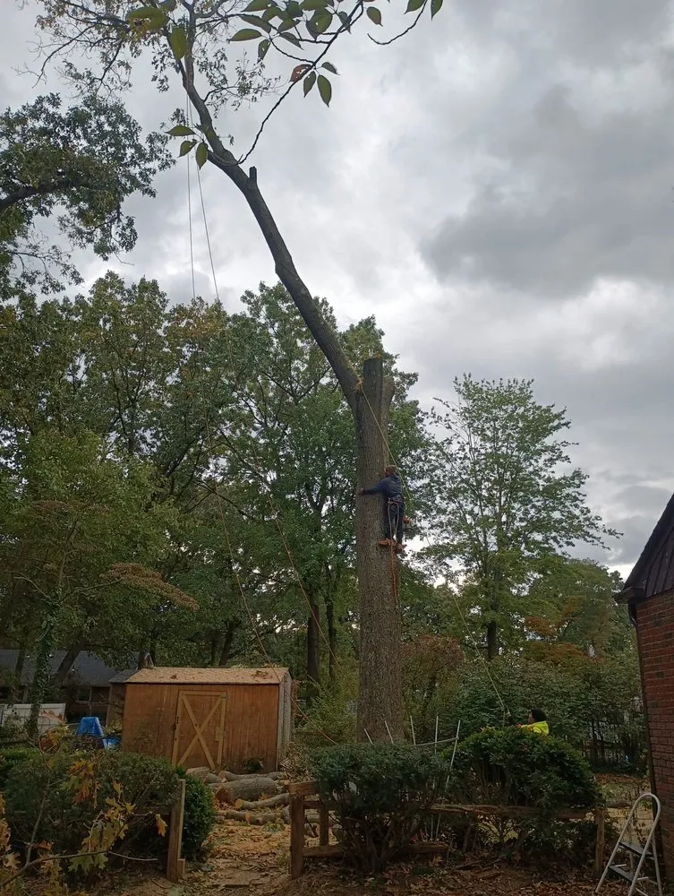 Affordable residential landscaping for outdoor upgrades in Riverside, NJ by Garcia Tree Service & Landscaping