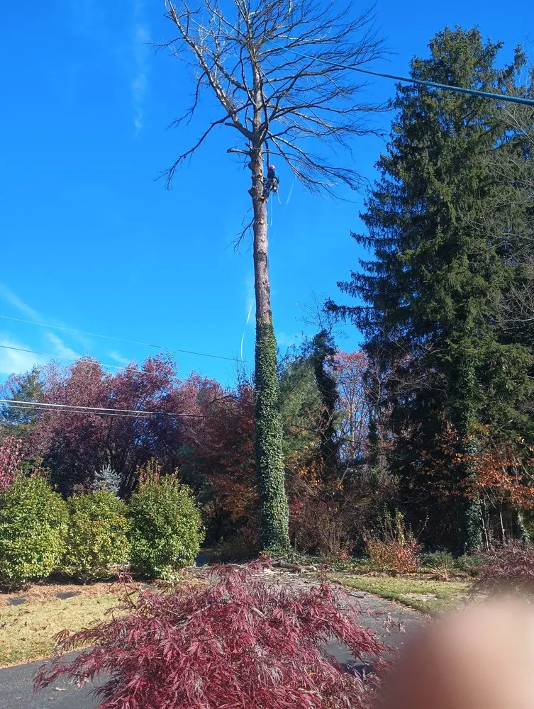 Reliable outdoor landscaping for homes in Riverside, NJ by Garcia Tree Service & Landscaping