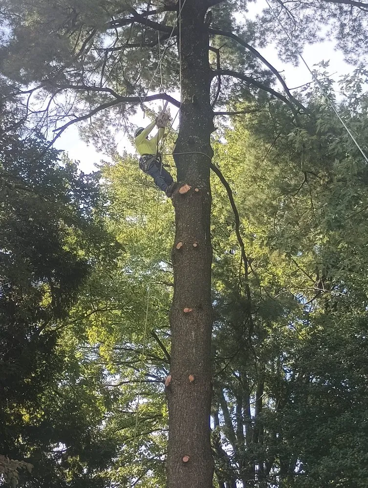 Custom landscape installation in Riverside, NJ by Garcia Tree Service & Landscaping