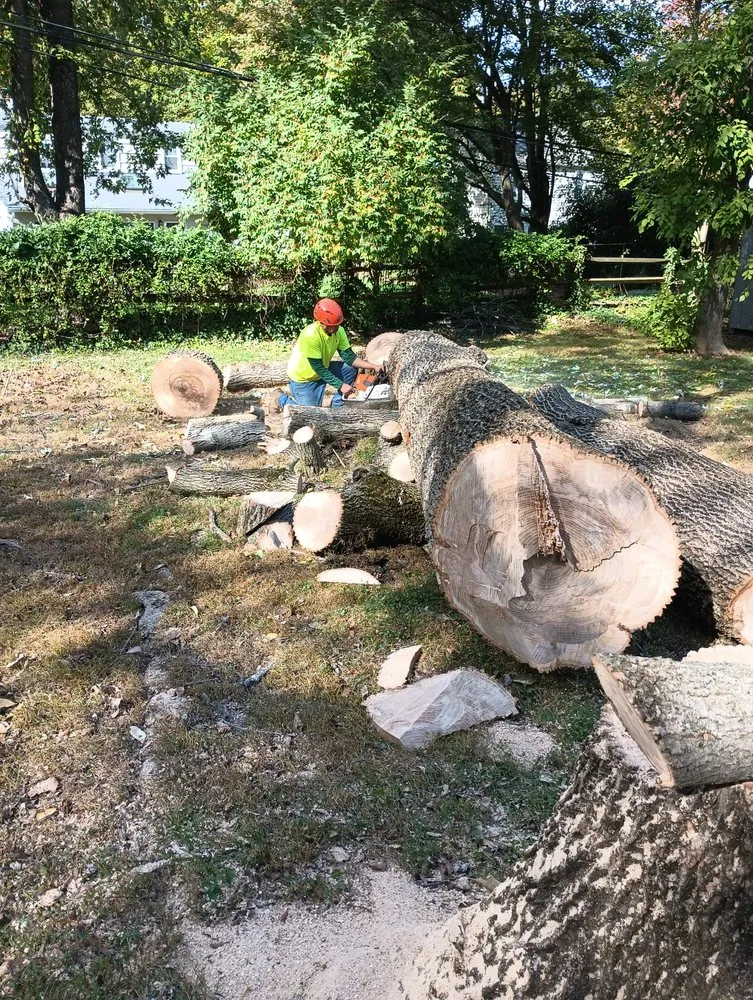 Reliable residential landscaping experts serving Riverside, NJ - Garcia Tree Service & Landscaping