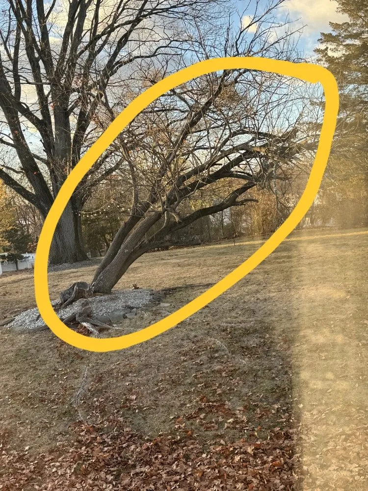 Trusted garden landscaping in Riverside, NJ - Garcia Tree Service & Landscaping