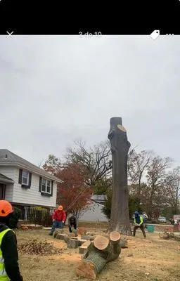 Garcia Tree Service & Landscaping