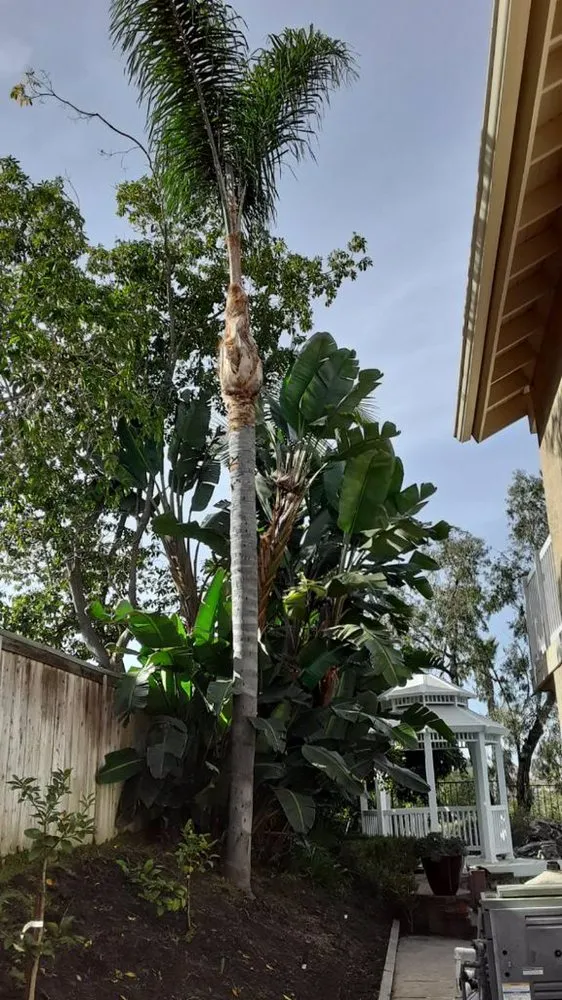 Local landscaping services for outdoor upgrades in Anaheim, CA by Garcia Tree Service and Landscaping