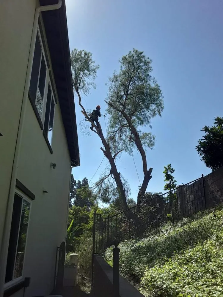 Expert lawn care service in Anaheim, CA - Garcia Tree Service and Landscaping