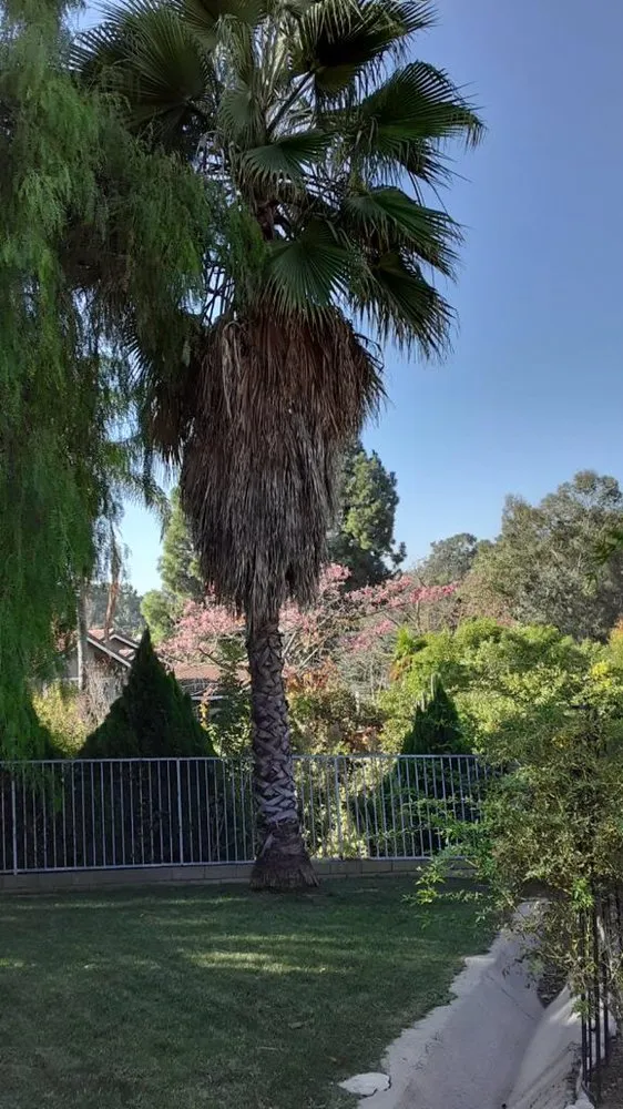 Top-rated landscape design in Anaheim, CA - Garcia Tree Service and Landscaping