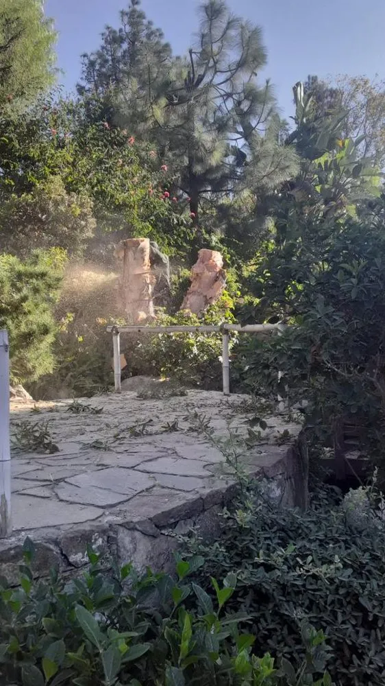 Trusted lawn care service for year-round maintenance across Anaheim, CA - Garcia Tree Service and Landscaping