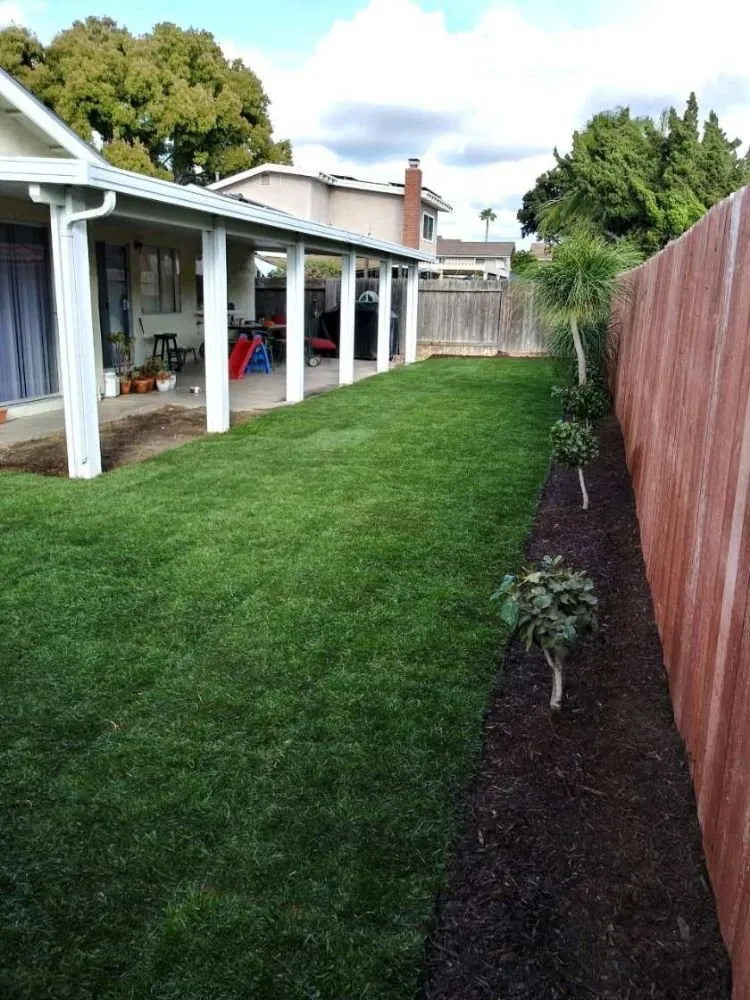 Expert lawn care service for homes across Anaheim, CA - Garcia Tree Service and Landscaping
