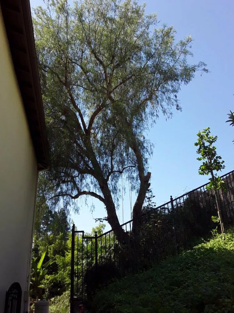 Custom outdoor landscaping with custom design across Anaheim, CA - Garcia Tree Service and Landscaping