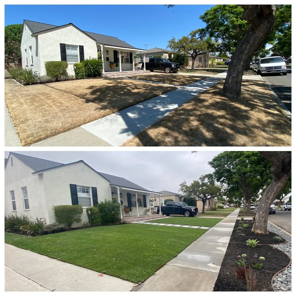 Professional yard cleanup service for beautiful yards in Anaheim, CA by Garcia Tree Service and Landscaping