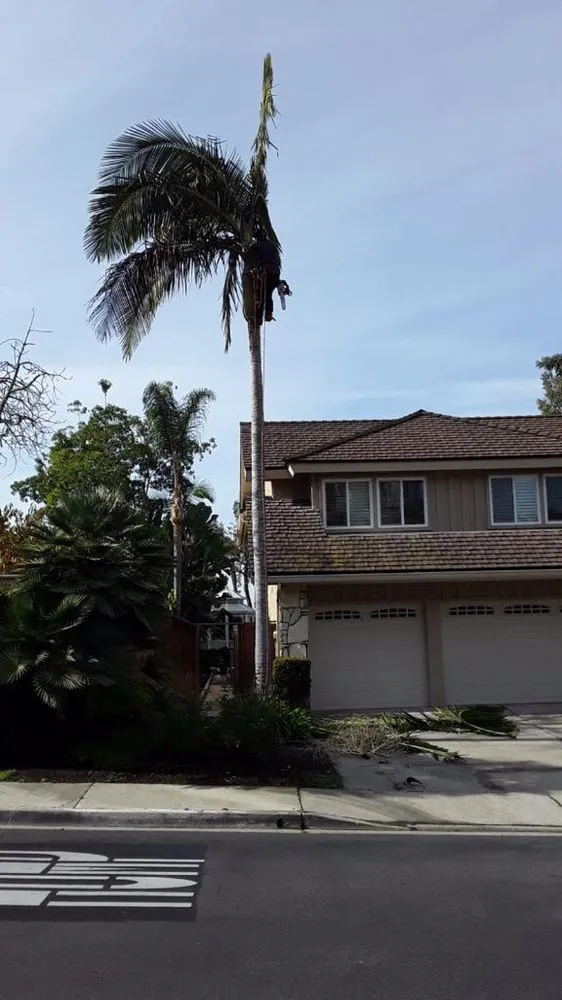 Trusted landscape installation with custom design across Anaheim, CA - Garcia Tree Service and Landscaping