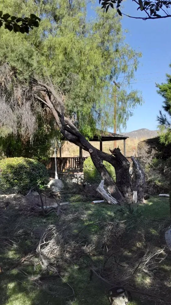 Reliable outdoor landscaping in Anaheim, CA by Garcia Tree Service and Landscaping